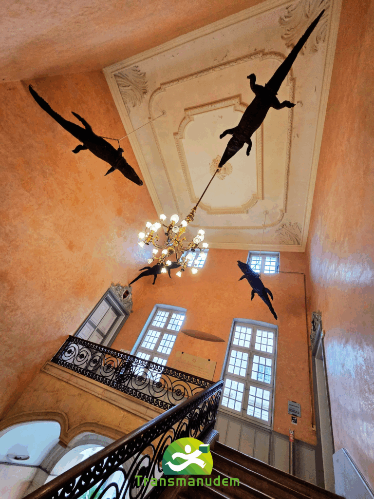 Garde-meubles sécurisé Nîmes Montpellier